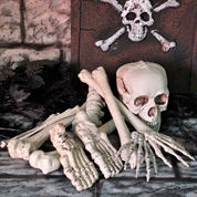 Calavera y huesos (12)