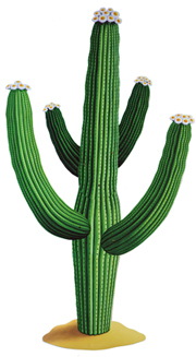 troquelado-cactus-mes.jpg